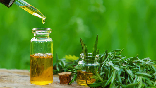 Focus on the benefits of each oil: from rosemary to baobab, nature at the service of your hair
